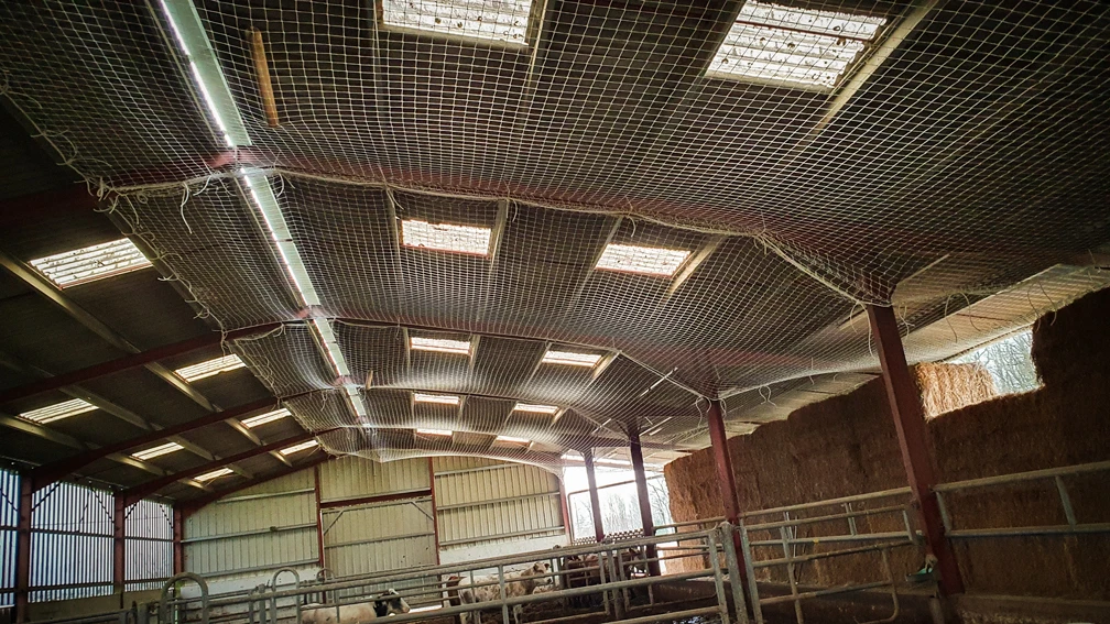Intervention de cordistes MS Access pour un filet pas de regrets chez ORION ENERGIES à Lezignac Durand (bâtiment) – 2